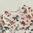 Baby Dinosaur Print Outfit