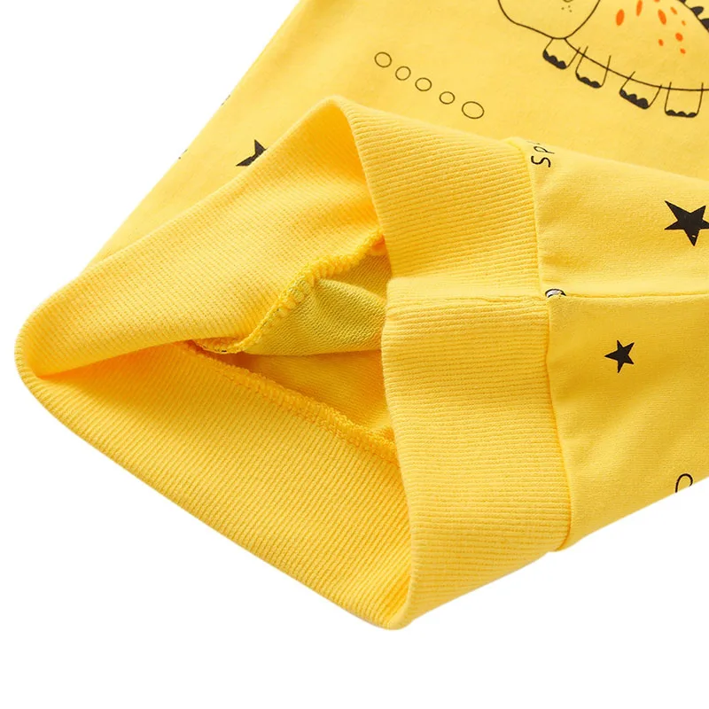 Baby Cartoon Dinosaur Sweatshirt & Pants Outfit