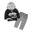Baby Dinosaur Fossil Hoodie Sweater & Sweatpants Long Sleeve 2 pcs Outfit