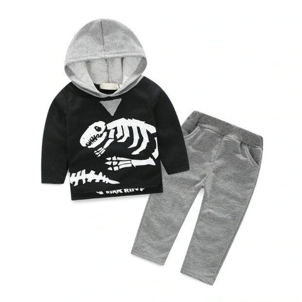 Baby Dinosaur Fossil Hoodie Sweater & Sweatpants Long Sleeve 2 pcs Outfit