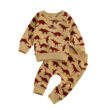 Baby Dinosaur Print Sweatsuit Outfit