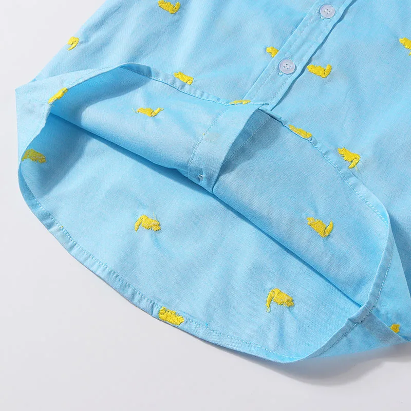 Baby Boy Embroidery Tucked Button Shirt, Elastic Pants 2 pcs Outfit - Image 5