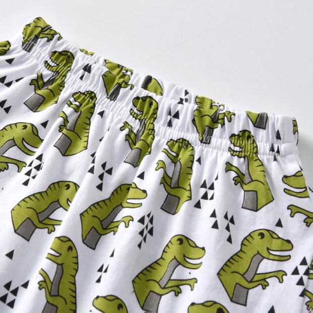 Baby Dinosaur Sleepwear Shirt & Pants