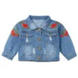 Rose Embroidery Ripped Denim Jacket Long Sleeve