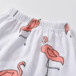 Baby Flamingo Onesie & Pants