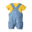 Baby Boy Applique Overalls Outfit