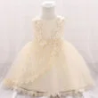 Baby Flower Patch Embellished lace Dress for Wedding