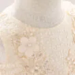 Baby Flower Patch Embellished lace Dress for Wedding