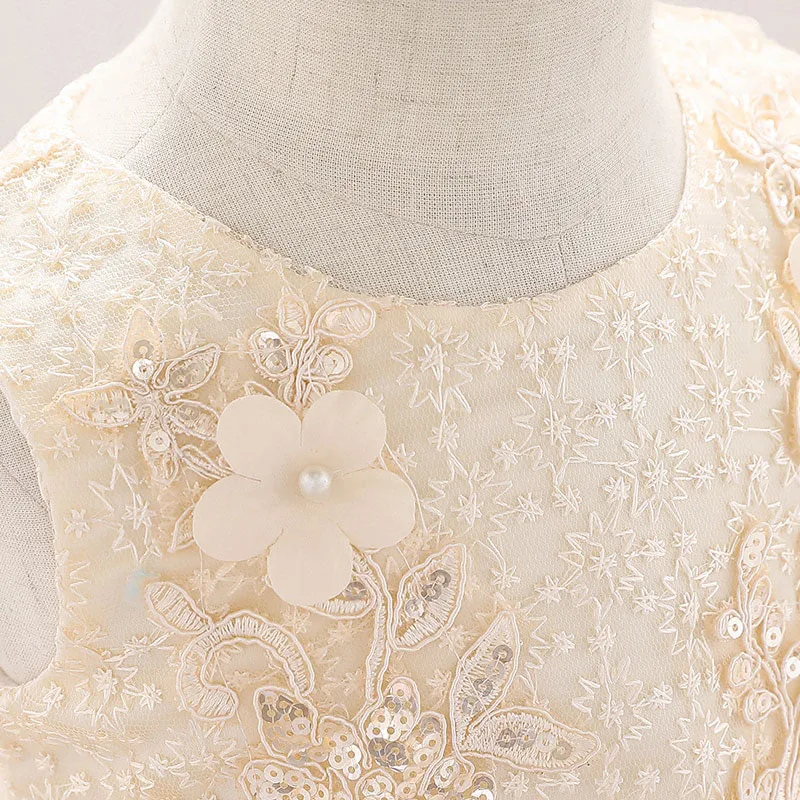 Baby Flower Patch Embellished lace Dress for Wedding
