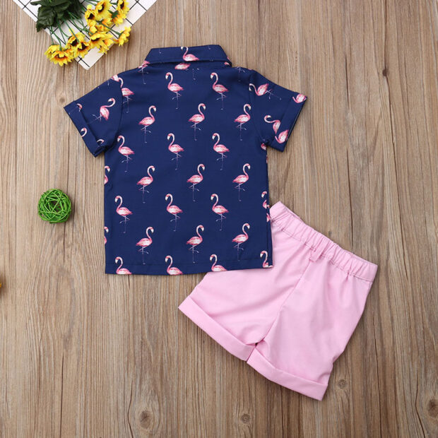 Baby Flamingo Variable Shirt & Shorts Outfit