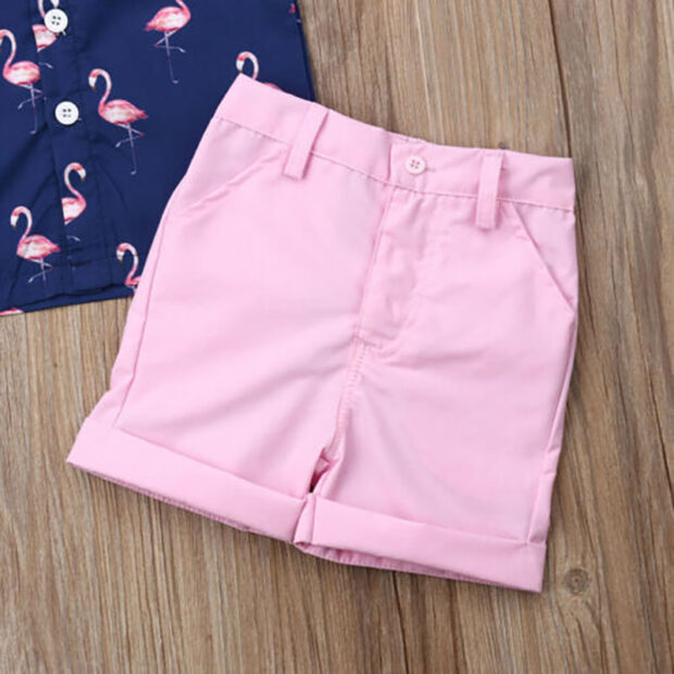 Baby Flamingo Variable Shirt & Shorts Outfit