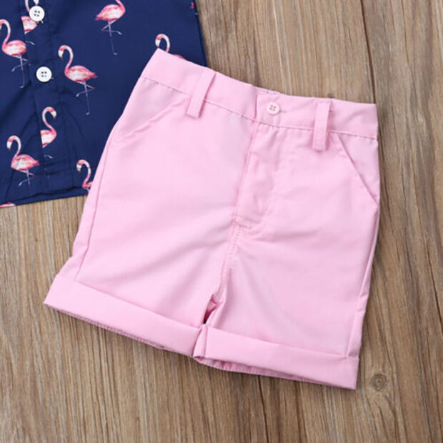 Flamingo Variable Shirt & Elastic Shorts Short Sleeve - Image 4