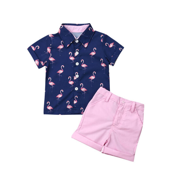 Flamingo Variable Shirt & Elastic Shorts Short Sleeve